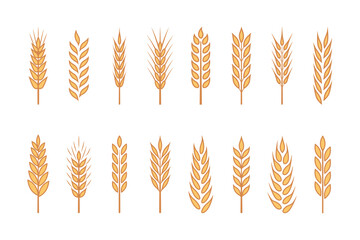 Flat Vector Yellow Agriculture Wheat, Cereal Ear Icon Set Isolated. Organic Wheat, Rice Ears. Grain Ear Design Template for Bread, Beer Logo, Packaging, Labels for Farming, Organic Food Concept