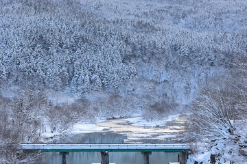 真冬の夕張川と広がる雪化粧した針葉樹林 © akht.mymt