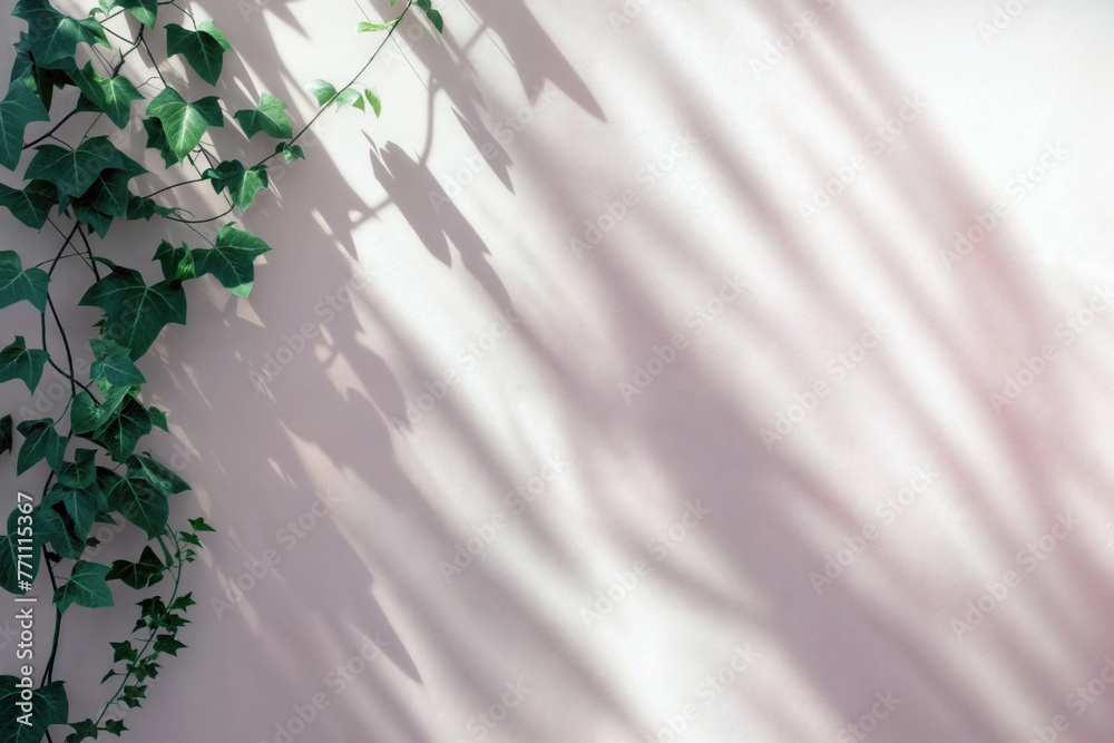 Aufkleber natural light and shadow concept with copy space. green ivy leaves with shadows on a textured white 