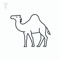Camel line icon. Isolated simple vector illustration	
