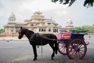  A very old horse carriage is standing near the Albert Hall Museum in Jaipur for visitors. People...