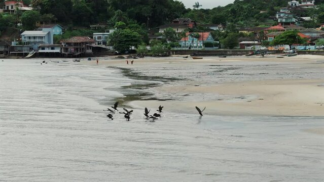 Birds soar low over a fishermen's beach in southern Brazil.