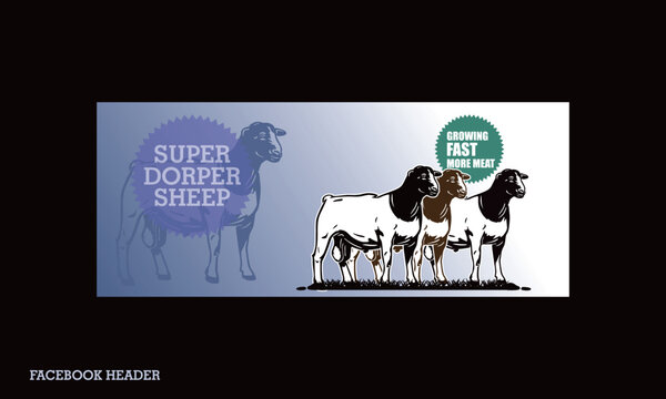 DORPE SHEEP FACEBOOK HEADER DESIGN, great facebook design for breeder sheep