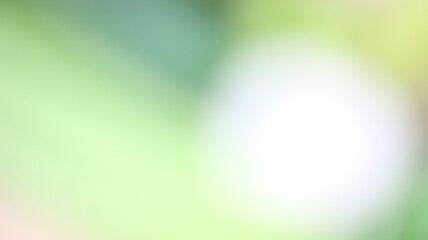 Green Blur Bright colorful abstract blurry  Background