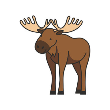 Moose vector illustration 