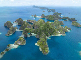 The limestone islands of Balbalol, fringed by reef, rise from Raja Ampat's tropical seascape. This...