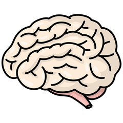 human brain illustration