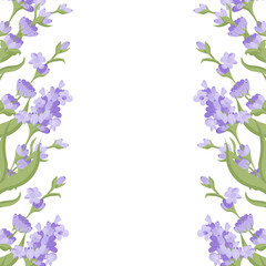 Decorative frame of lavender flowers for your design. Vector illustration isolated on white background.