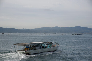 兵庫県明石市・海の畑、逸品明石のりを刈り取る船、潜り船
