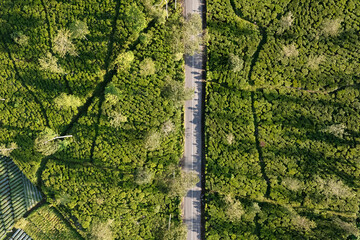 pemandangan jalan di antara kebun teh di lereng gunung