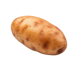 potato fresh vegetable isolated 