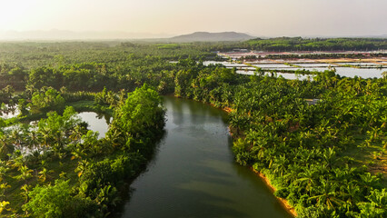 Obraz premium Forests and canals from an aerial view. Top angle Nature and water. Photo for using backgrounds, trees, and flowing streams. A large forest with a river running through the middle.