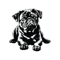 Bulldog Dog Stock Vector Illustration