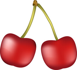 Cherry logo. Cherry berry. Isolated berries transparent, png. fresh cherry berry. illustration. for a natural design pattern