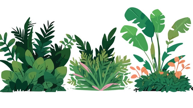 Set of vector illustrations of jungle plants. Liana