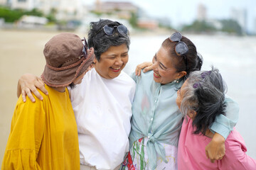 senior friends enjoy a sunny day at the beach. The group's active engagement create a vibrant...