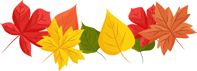 autumn leaves, different colors on  transparent, png . autumn mood. Isolated autumn elements. Maple leaves, birch