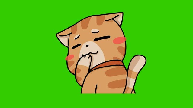 chuckle animation. cute cat on green screen