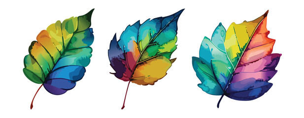 Colourful painted leaf illustration set