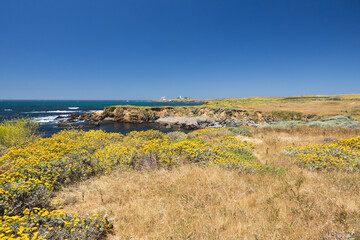 Piedras Blancas Light Station viewed from the beach, San Simeon California