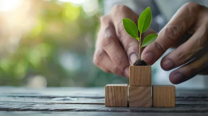 Deurstickers A businessman is putting wooden blocks with a growing plant on a table, this stock photo could be used for banner and copy space © Slowlifetrader