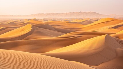 Fototapeta na wymiar Empty Quarter Desert Dunes at Liwa, Abu Dhabi,