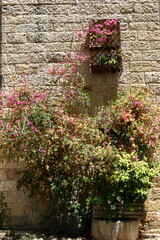 Jerusalem Israel 08/20/2023. The city of Jerusalem is the capital of the state of Israel.