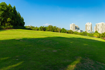 The vast central park of the city is lush with green grass in the sunny summer.