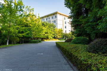A quiet and uninhabited university campus on a sunny summer day