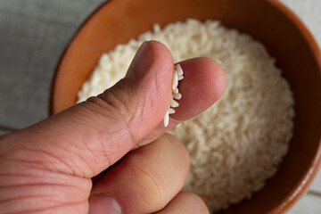 A view of some kernels of raw sticky rice in between the fingers.