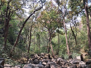 Pachmarhi Hill Station Madhya Pradesh