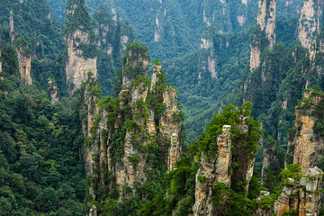 The beautiful scenery of Zhangjiajie Scenic Area in Hunan Province, China is characterized by rugged and steep rocks