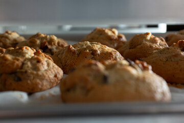 A closeup view of a freshly baked cookies on a rack.