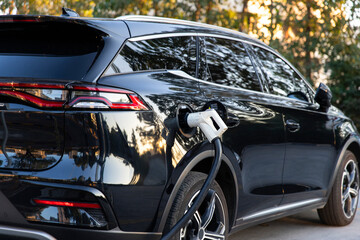 Fototapeta premium A black new energy electric vehicle is being charged at a charging station using a charging station