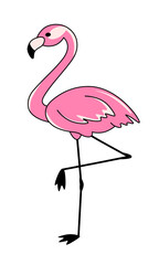 Flamingo bird vector illustration on white background, pink flamingo with black contour line, tropical holiday concept, sticker, badge, label, clip art.