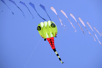 colorful kites with blue sky background