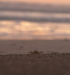 atardecer en la playa 