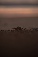 atardecer en la playa 