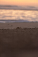 atardecer en la playa 