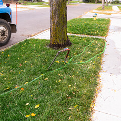 Deep watering of individual tree with watering tube inserted in soil