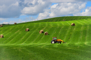 Rural country landscape with alfalfa field and cereal hay bales and tractor with fork loader in summer season