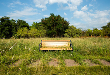 Under the clear sky, the parks in the city are lush with green grass and very quiet
