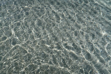 clear water near the shore, clear water in shallow water