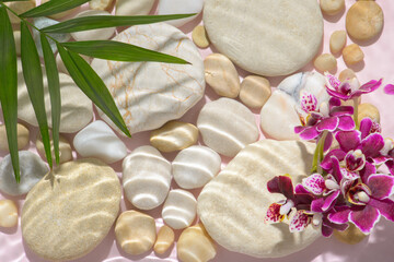 violet orchid, palm and stones with hard shadow in water, abstract spa background concept banner for cosmetic body care product