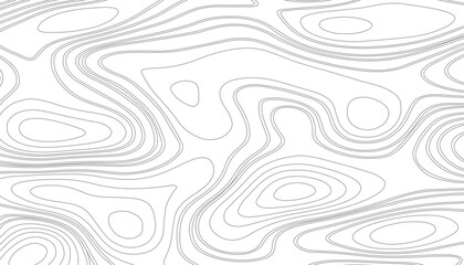 Detailed topographic map background. Contour map background Vector geography scheme and terrain Light topography grid map - obrazy, fototapety, plakaty