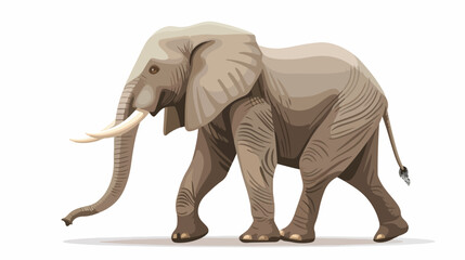 Cartoon elephant walking on white background Flat vector