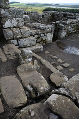 Along the Hadrian's wall between Twice Brewed and Chollerford - Northumberland - England - UK