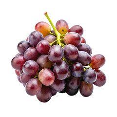 Fototapeta premium blue grape cluster