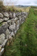 Along the Hadrian's wall between Twice Brewed and Chollerford - Northumberland - England - UK © Collpicto