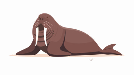 Cartoon walrus flat vector isolated on white background